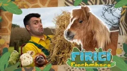 Fíricí Fíochmhara | Capaillíní | Amhrán 🐴