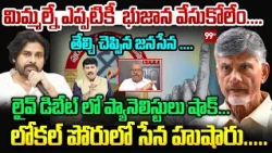 Janasena Leader Comments On TDP : మిమ్మల్ల్నే ఎప్పటికీ  భుజాన వేసుకోలేం....తేల్చి చెప్పిన జనసేన ...
