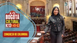 What you DON’T see on TV about the Congress of Colombia | BOGOTÁ CULTURAL