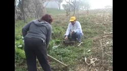 Braća Babajić - Nema ženo hljeba bez motike - (Official video 2007)