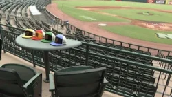 Harry Potter Night set to take over Arvest Ballpark