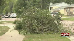 Cleaning up after weekend storms