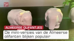 Almeerse olifantjes vliegen de deur uit: 400 van 500 miniaturen verkocht | Omroep Flevoland
