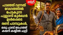 ഏറ്റവും വേഗത്തിൽ പോകുന്ന പുല്ലാനി മൂർഖനെ പിടികൂടി | Vava Suresh Snake Catching | Snakemaster EP 1210
