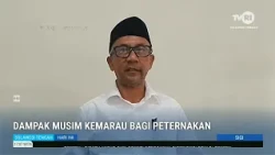 STHI - Sigi: The Impact of Dry Season on Livestock Farming