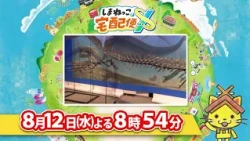 予告【しまねっこの宅配便X】8/12（水）放送「海竜大進化～恐竜時代の蒼き海へ～」