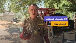 From the Heart of the Fires: Akkar Youth Volunteer to Protect Their Forests