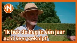 Wim's tuin onderging een fantastische metamorfose | Mien Toentje