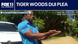 Tiger Woods takes plea deal in DUI case
