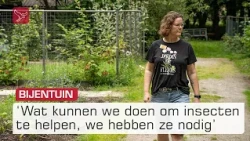 Verwaarloosd stukje natuur in Dronten door imkers omgetoverd tot bijentuin | Omroep Flevoland