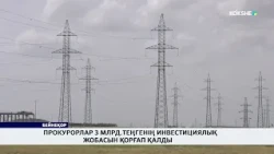 Прокурорлар 3 млрд.теңгенің инвестициялық жобасын қорғап қалды