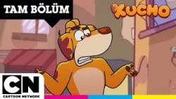 KUCHO | Paralel Mahalle | TAM BÖLÜM | @cartoonnetworkturkiye