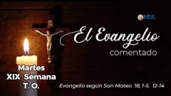Gospel 📖 commentary August 11🕊️