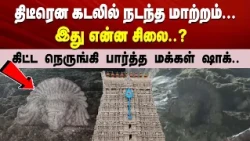 திடீரென கடலில் நடந்த மாற்றம்... இது என்ன சிலை..? கிட்ட நெருங்கி பார்த்த மக்கள் ஷாக்..