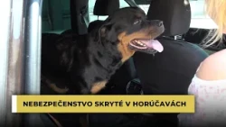 Nebezpečenstvo skryté v horúčavách