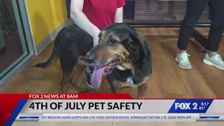 4th of July Pet Safety