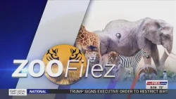 Quality care of animals is the top priority at The North Carolina Zoo