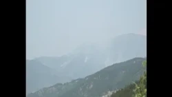 Požar na Stolovima i danas aktivan, u Ušću lokalizovan