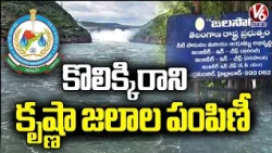 TG GOVT Demanded 50-50 Water Share In Krishna River Water Allocations | V6 News