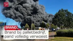 Zeer grote brand op bedrijventerrein in Lelystad, NL-Alert verstuurd | Omroep Flevoland