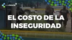 ConCiencia: The Cost of Insecurity