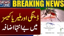 Dengue and Malaria Cases Rise Sharply | Health Alert | NEWS ONE