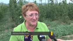 DOGODKI DNEVA 21.8.2026 - Minister za kmetijstvo si je včeraj ogledal posledice suše v Savinjski