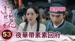 太子雖然失憶了 卻一眼就認出前妻？還將她帶回家？【三生三世十里桃花】精華 EP53-3 楊冪、趙又廷、迪麗熱巴、高偉光、張智堯 @ctvdrama_classic