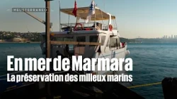 Marine conservation in the Sea of Marmara