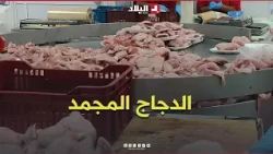 Commencing the sale of significant quantities of frozen chicken at 350 Dinars