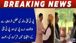 PTI delegation meets Fazlur Rehman, invites him to participate in APC and PTI protests