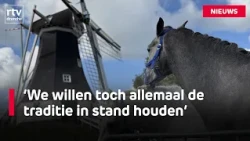 Rolde Horse Market moves after 240 years