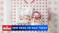 Wawa lauches new swag, including graphic T-shirt and Shorti tote bag