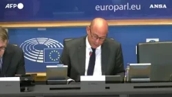 Clima, l'allarme dell'Onu: "L'estate è stata un'anticipazione di un incubo permanente"