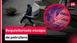 Thief escapes