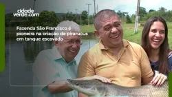 Fazenda São Francisco is a pioneer in farming pirarucu in excavated ponds
