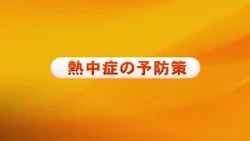 Heatstroke Prevention Measures