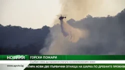 ГОРСКИ ПОЖАРИ: Сърбия няма да променя статута на изпепелените земи