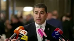 მართლები ვართ ჩვენ, მტყუანები არიან ევრობიუროკრატები - შალვა პაპუაშვილი