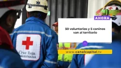Red Cross activates relief operation and collection following earthquake emergency | Emergencies