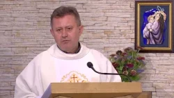 Homilie ze mše svaté 22.7.2026, P. Petr Dujka