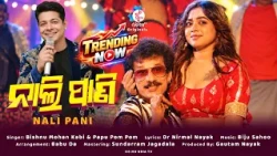 Nali Pani | New Song | Dushera Hit | Full Video | A song by Bishnu Mohan Kabi