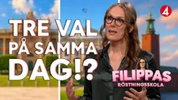 Så fungerar valet 2026: riksdag, region och kommun | Filippas Röstningsskola