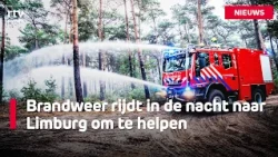 Drenthe firefighters assist in extinguishing Limburg wildfire
