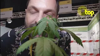 «Sind an der CannaTrade alle bekifft?» - Remo auf der ältesten Hanfmesse Europas