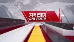সংবাদ এক নজরে | তারিখ: ১২ সেপ্টেম্বর ২০২৬ | Mohona TV