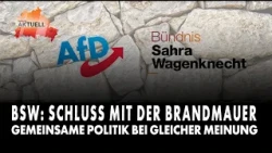 BSW: End the Cordon Sanitaire