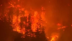 Canada, ancora roghi: 20.000 evacuati per sfuggire alle fiamme nell'area del lago Okanagan