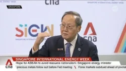 Energy minister cautions against "resource nationalism"