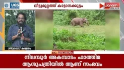 വീട്ടുമുറ്റത്തെത്തുന്ന കാട്ടാനകളെ ഭയന്ന് പുറത്തിറങ്ങാൻ പോലും കഴിയാതെ അറന്നാടംപാടത്തുകാർ
